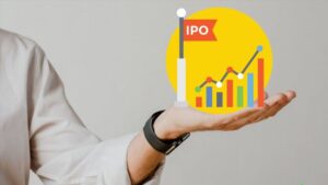 Đối với các nhà đầu tư tổ chức, IPO có tầm quan trọng đặc biệt