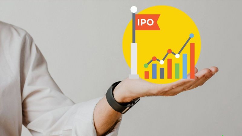 Đối với các nhà đầu tư tổ chức, IPO có tầm quan trọng đặc biệt