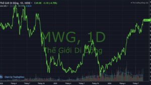 IPO Thế Giới Di Động giúp huy động được một lượng vốn đáng kể để mở rộng kinh doanh