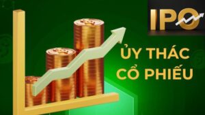 IPO và các hình thức quỹ tín thác thứ giúp nhà đầu tư hiểu rõ hơn đưa ra quyết định sáng suốt