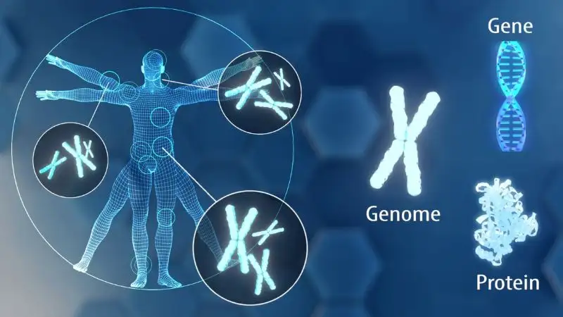 Hướng dẫn đầu tư IPO Caris Life Sciences (CAI): Những điều nhà đầu tư cần biết