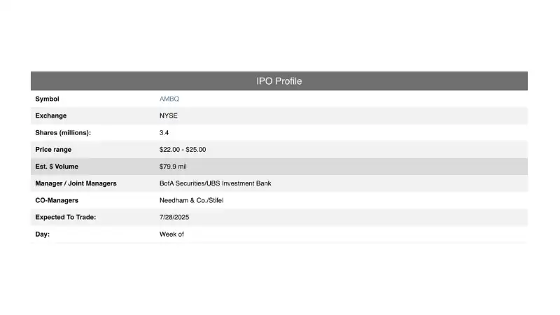 Ambiq Micro (AMBQ): Công bố giá bán 22-25 USD/cổ phiếu